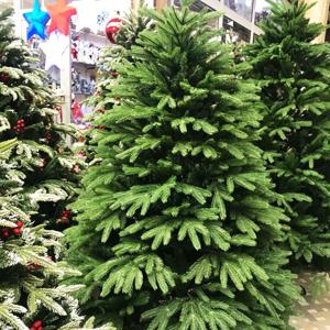 Yeni il yolkası - Yolka ağacı(1.80sm)