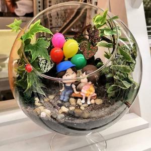 Xoş xatirə - Terrarium