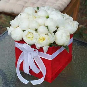 Чистая любовь