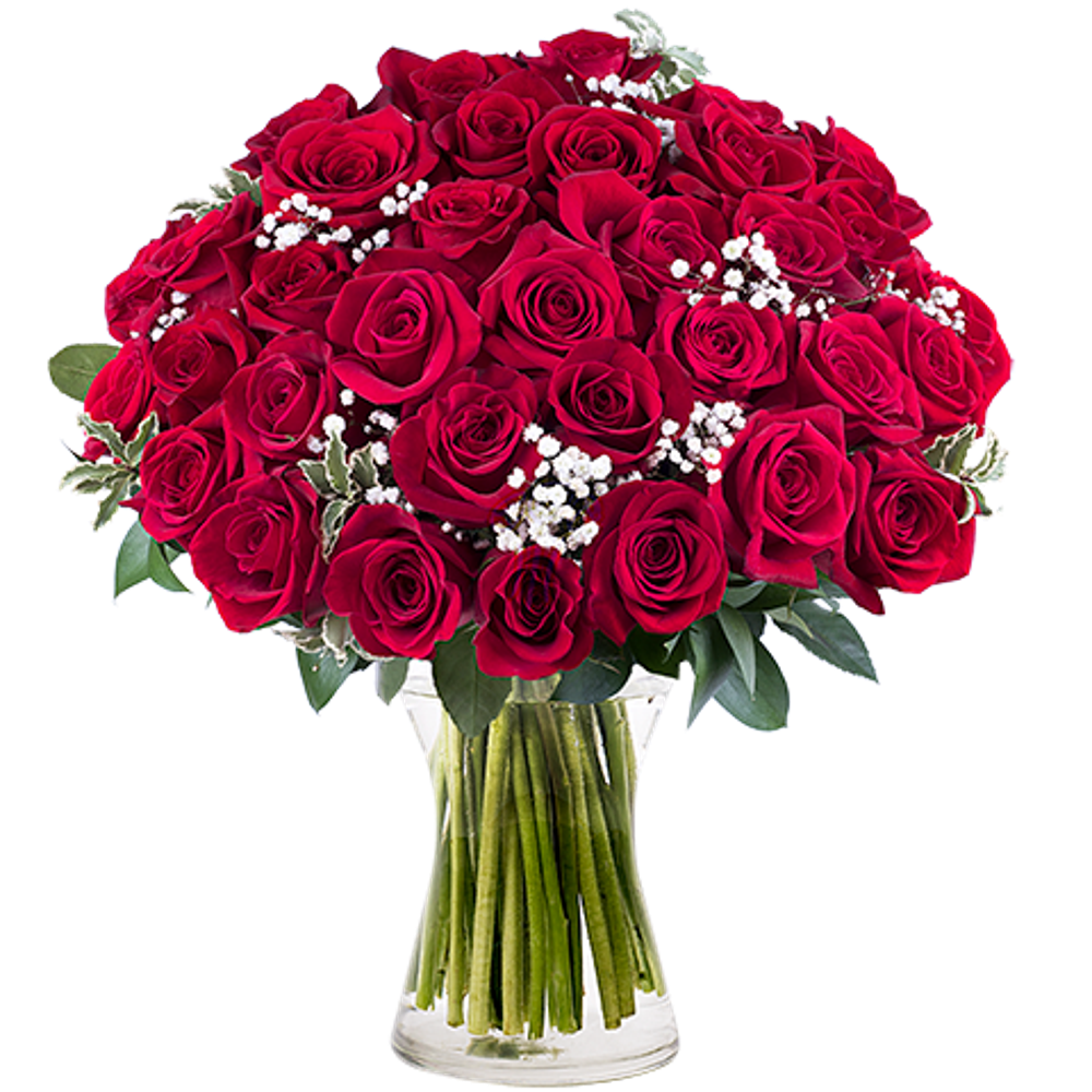 Simple and beautiful flowers - Flowers in vase