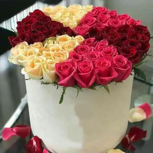 Особые цвета - особый дизайн