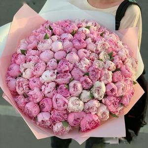 Красота жизни - 101 Пион