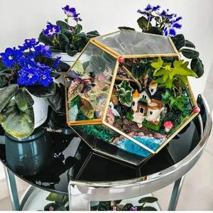 Время радости - Террариум