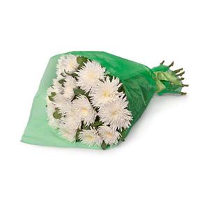 Bəyaz hisslər - Gül buketi