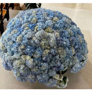 Прекрасный подарок - цветы в корзине