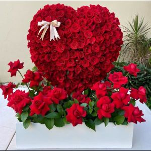 Breath of Design - Custom Design