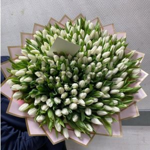 Colors of Love - Flowers