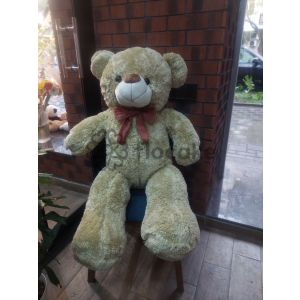 Sevincin Qucagı - Oyuncaq ayı