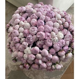 Нежные Цвета - Цветочный букет