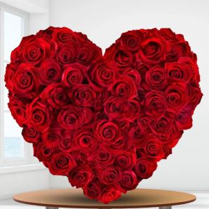 Dream World - Special Design