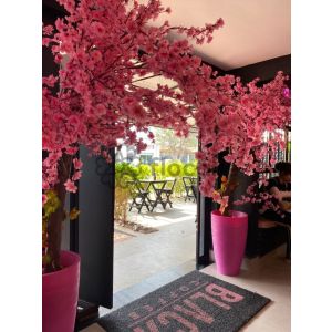 Elegant Entry - Event and Decoration