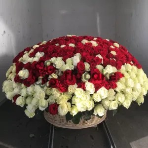 Səbətdə Güllər No1