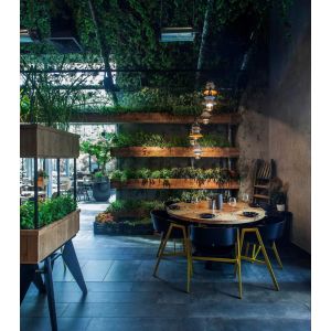 Təravətli Divar Dekoru - Event və Dekorasiya