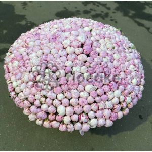 Нежные Моменты - Цветы в Коробке