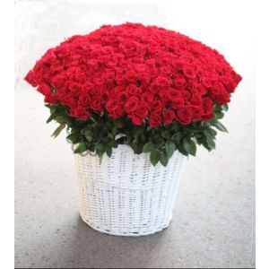 Sevgi Qutusu – qutuda gül