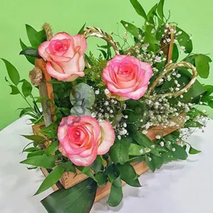 Zövqlü seçim - Yeşikdə güllər