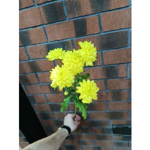 Sarı  vetka Xirzantema