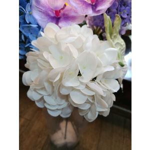 Ag  Süni  Qartenziya