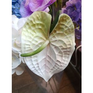 Yaşıl süni Anthurium