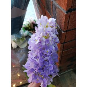 Açıq bənövşəyi süni  Lifko