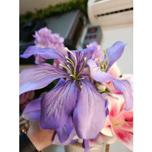 Bənövşəyi süni Ağəsmə