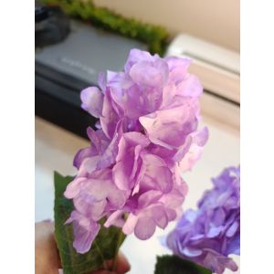 Açıq bənövşəyi süni Qartenziya