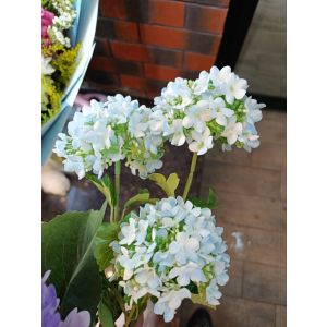 Ağ süni çift gülü