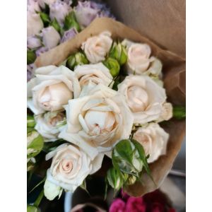 Pudra  rəng  kustavoy