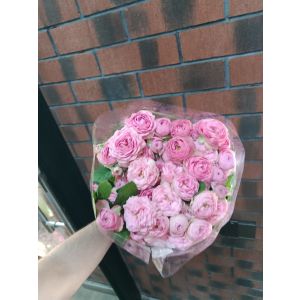 Çəhrayı kustavoy (piona bənzər) 1