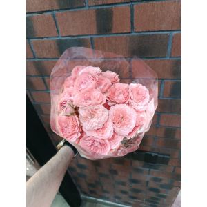 Çəhrayı kustavoy (Elza)