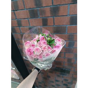 Çəhrayı kustavoy (Gisela)