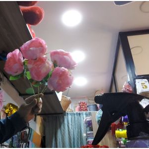 suni cehrayi piyon gul