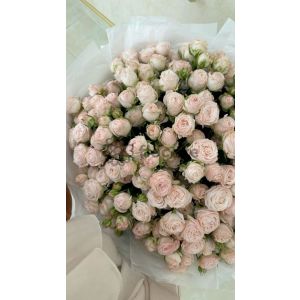 Sincere Flowers - Flower Bouquet