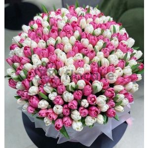 Sound of Beauty - Flower Bouquet