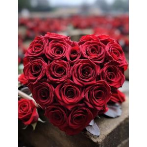 Особые Моменты - Специальный Дизайн