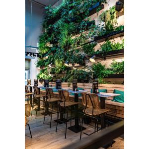 Divar Dizaynında İncəlik - Event və Dekorasiya