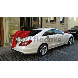 Wedding car decorations-14