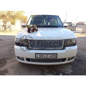 Wedding car decorations-20