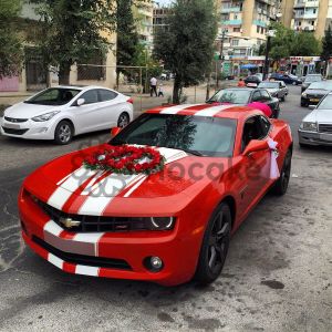 Украшения для свадебной машины-25