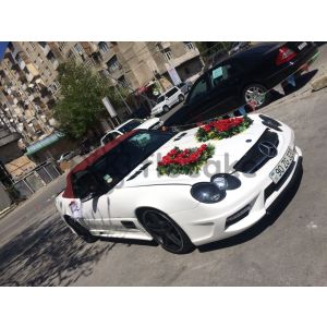 Wedding car decorations-4