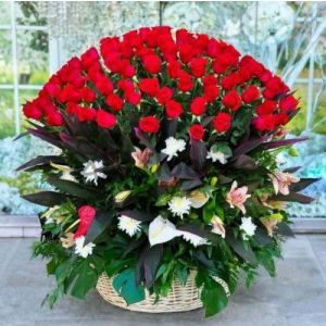 Sakitlik Əklili - Əklil