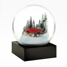 Snow Globe