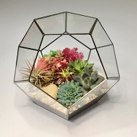 Terrarium